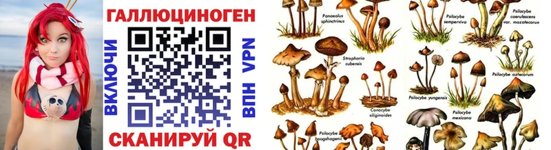 Псилоцибиновые грибы мицелий Реутов
