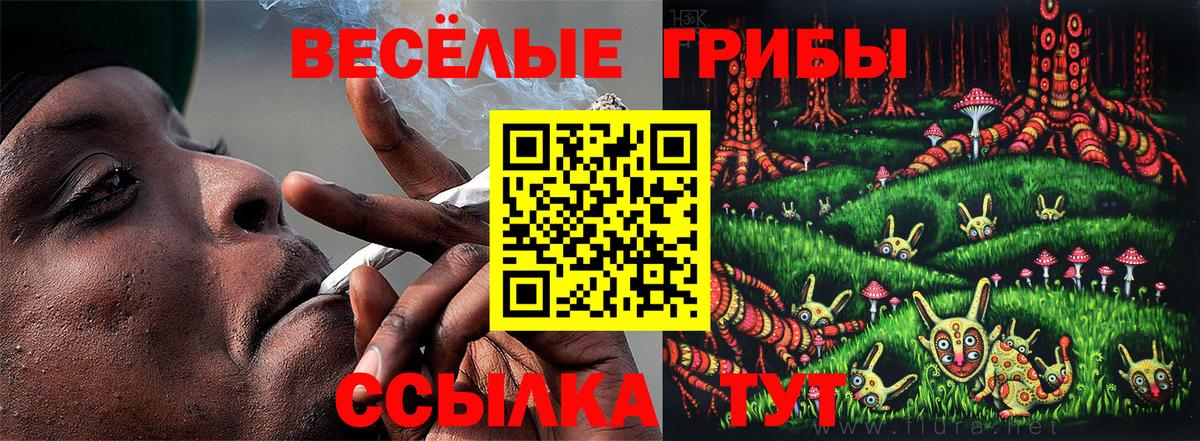 Галлюциногенные грибы MAGIC MUSHROOMS  Вход с VPN  купить наркоту  Реутов 